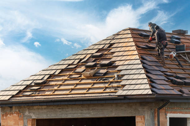 Best Roof Moss and Algae Removal  in Waverly, OH